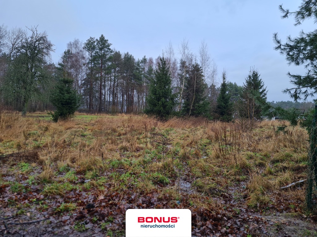 Duża działka z wydanymi warunkami zabudowy w Płoni (2)