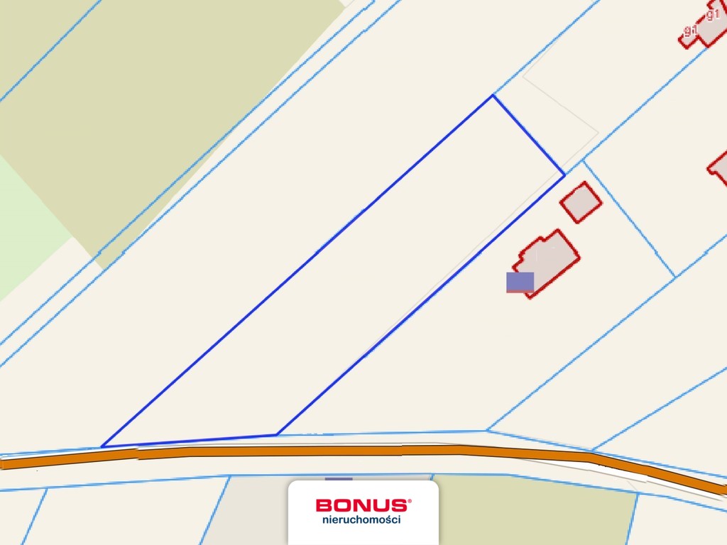 Duża działka z wydanymi warunkami zabudowy w Płoni (1)