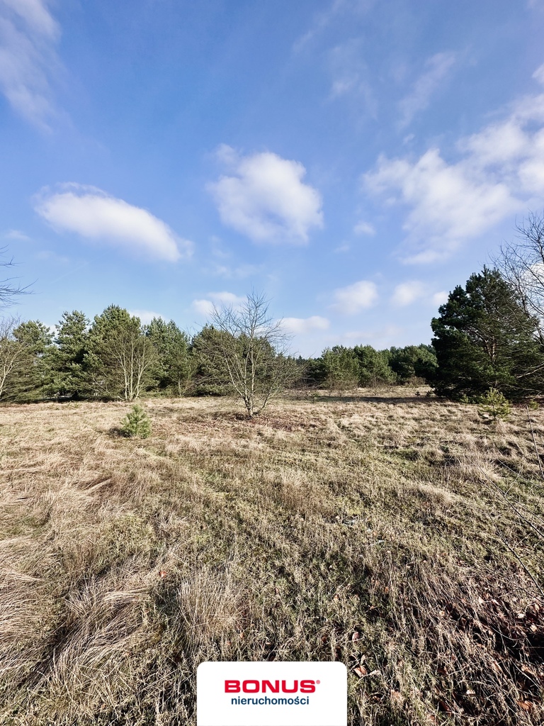 Pięknie położona działka w Rurzycy (3)