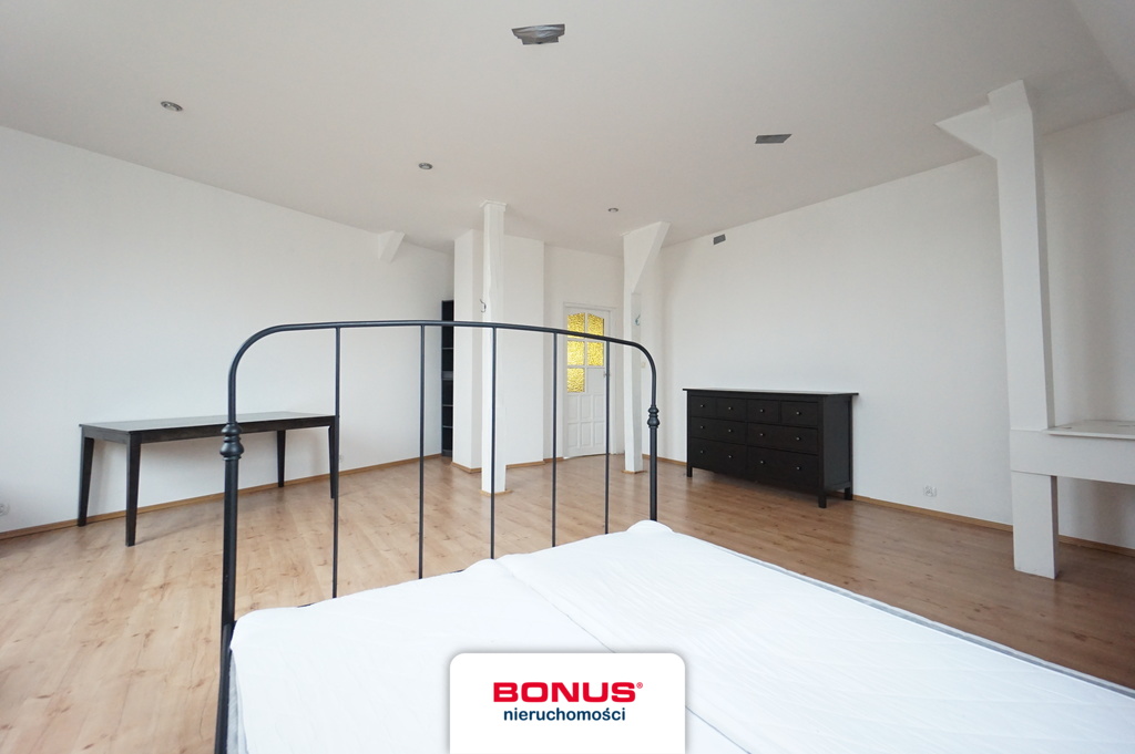 Wielkie poddasze w Centrum z potencjałem! (14)