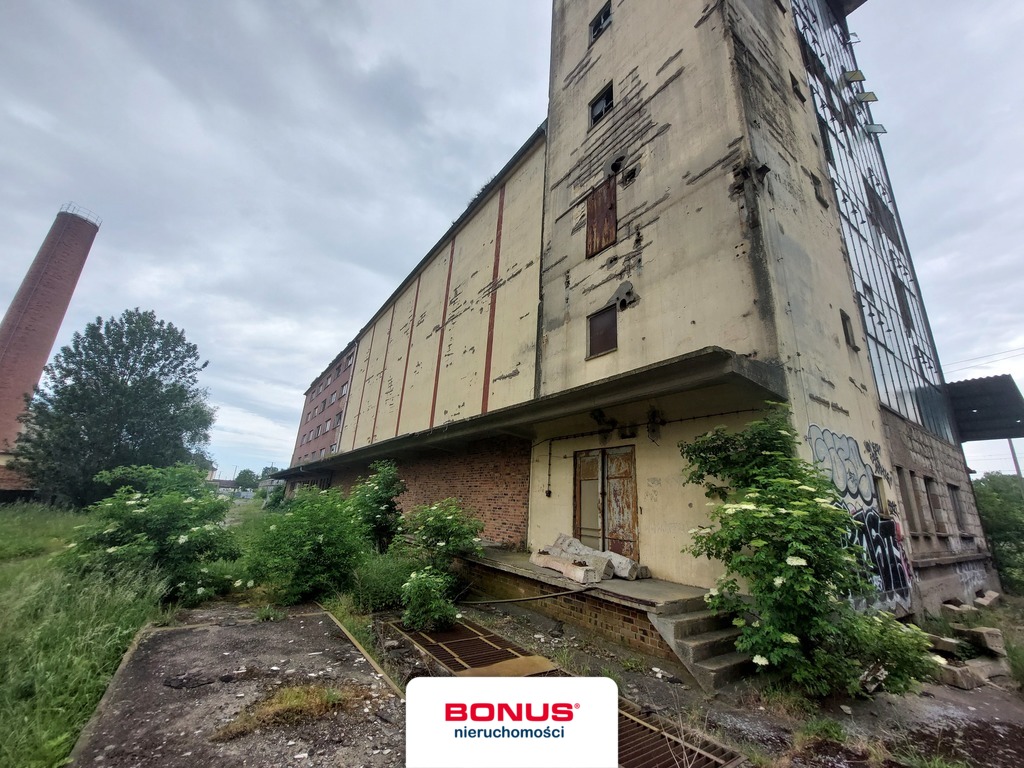 Duży, komercyjny teren w Pasewalku! (5)