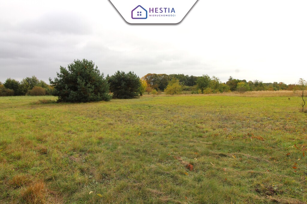 Duża działka z linią brzegową jeziora Miedwie (2)