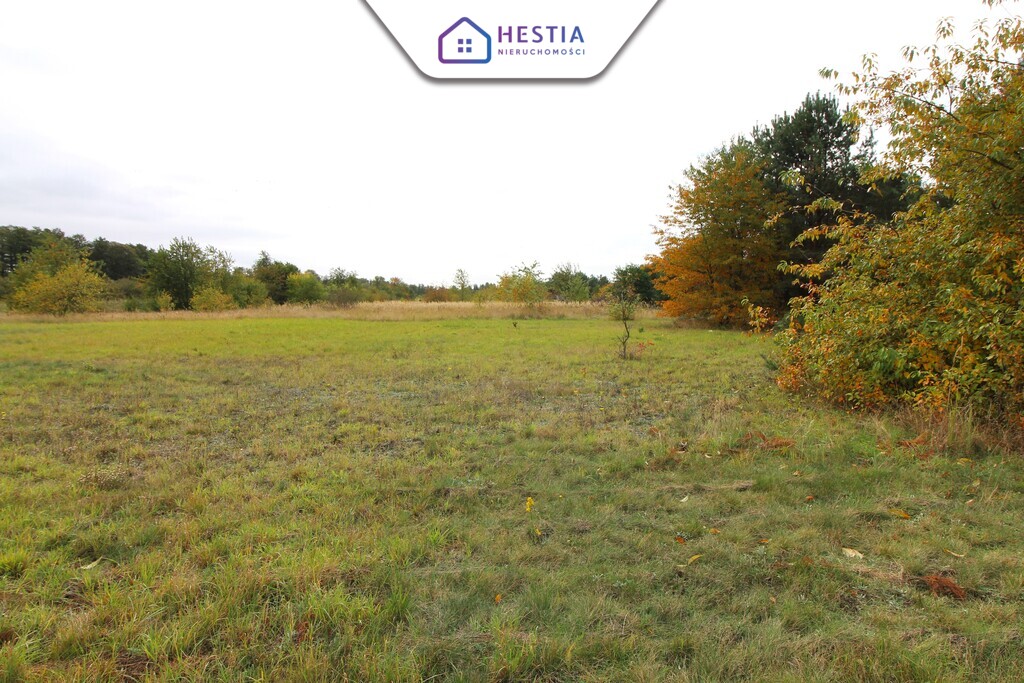 Duża działka z linią brzegową jeziora Miedwie (3)