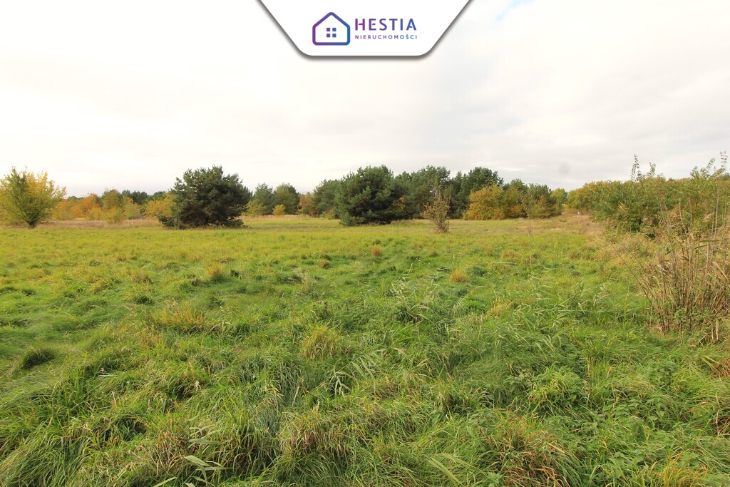 Duża działka z linią brzegową jeziora Miedwie (4)