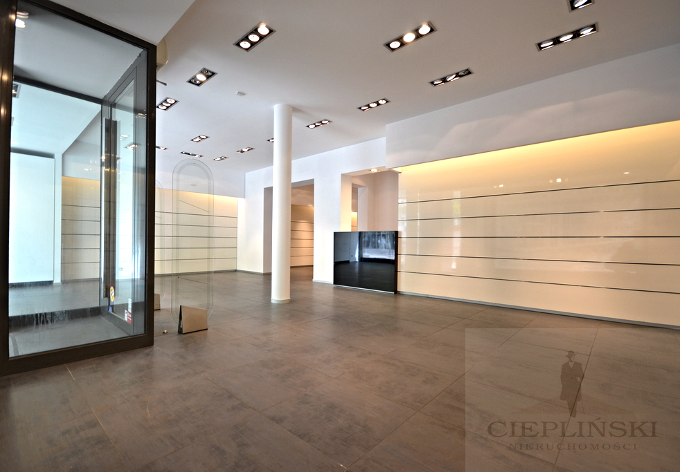 CENTRUM lokal do wynajęcia 128 m2 (1)