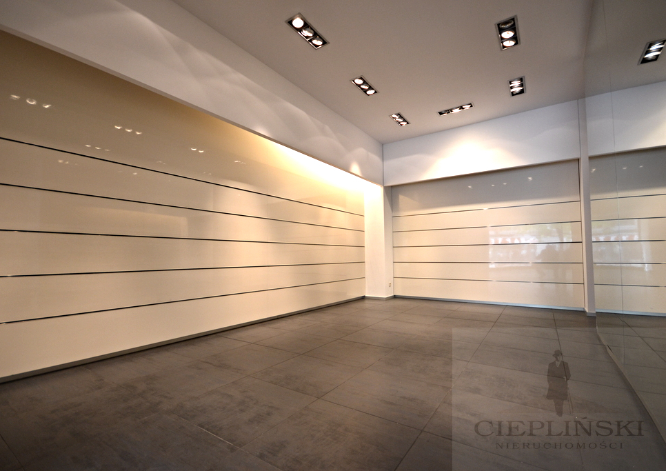 CENTRUM lokal do wynajęcia 128 m2 (6)