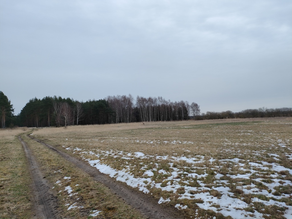 Działka siedliskowa (2)