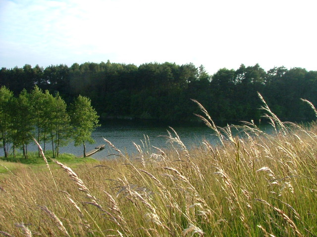 Działka Nad Jeziorem Dramienko (6)