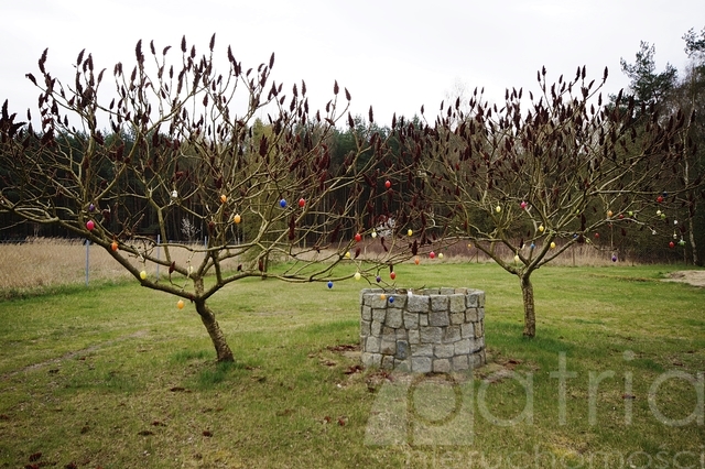 Obiekt z biurem i magazynem w Tanowie (8)