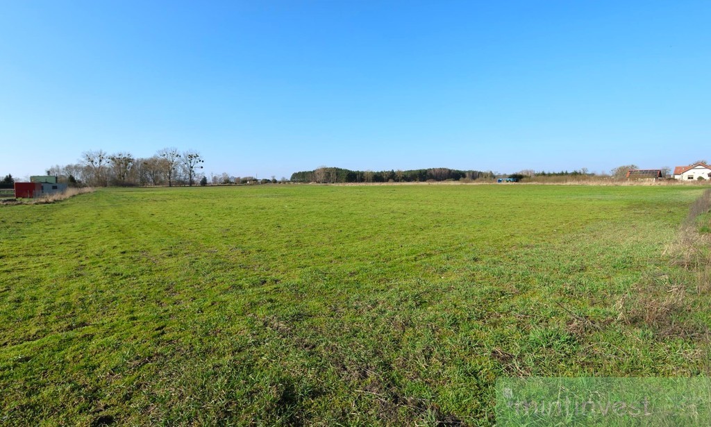 Działka z potencjałem Lubczyna (2)