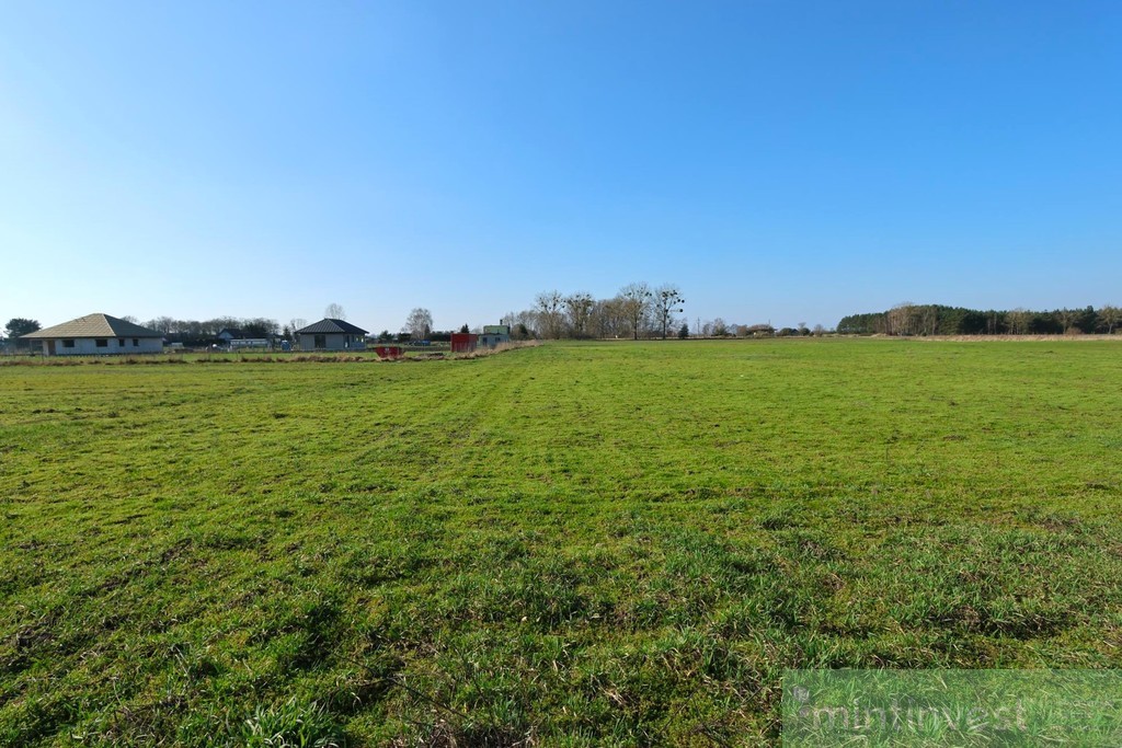Działka z potencjałem Lubczyna (3)