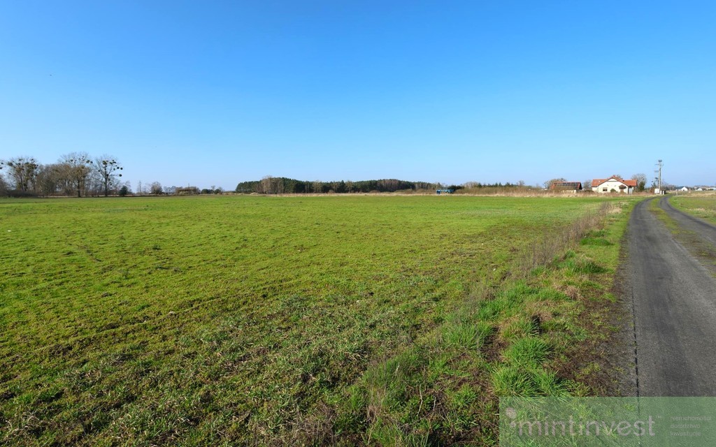 Działka z potencjałem Lubczyna (4)