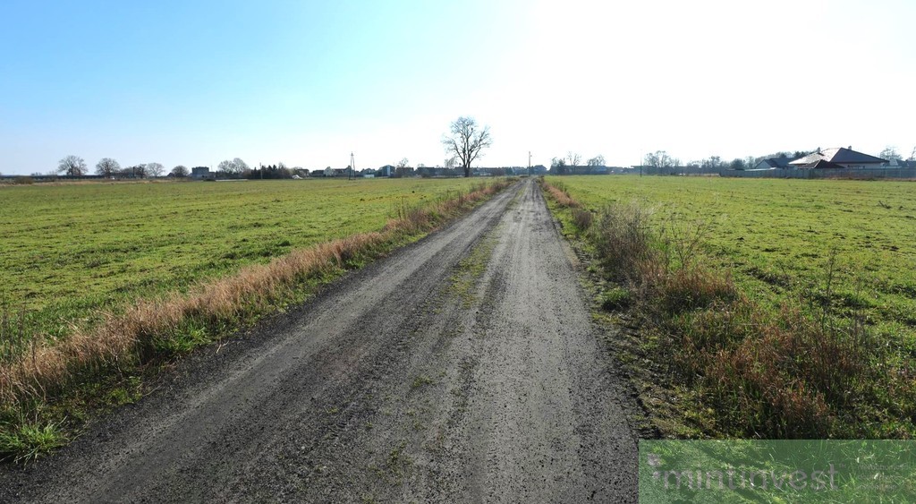 Działka z potencjałem Lubczyna (5)