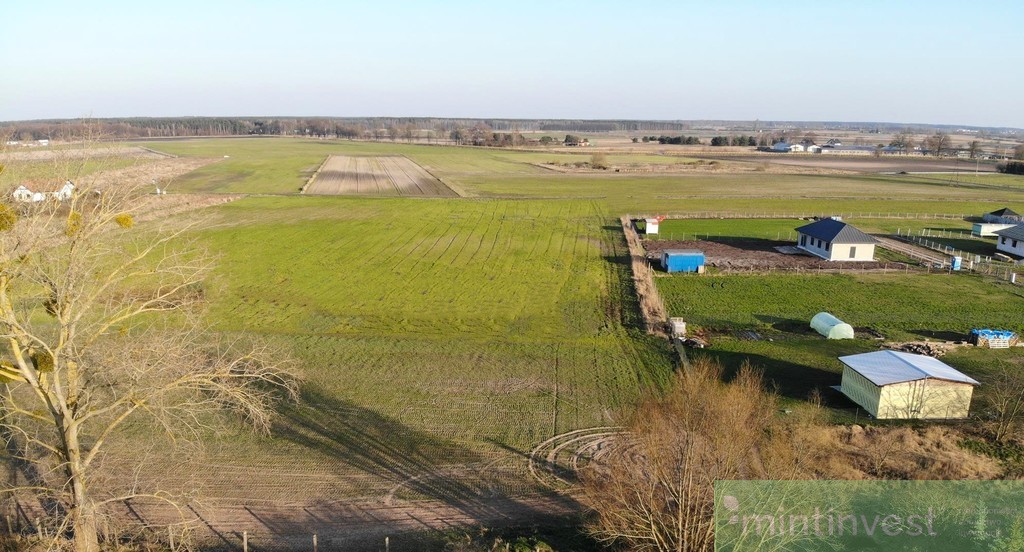 Działka z potencjałem Lubczyna (7)