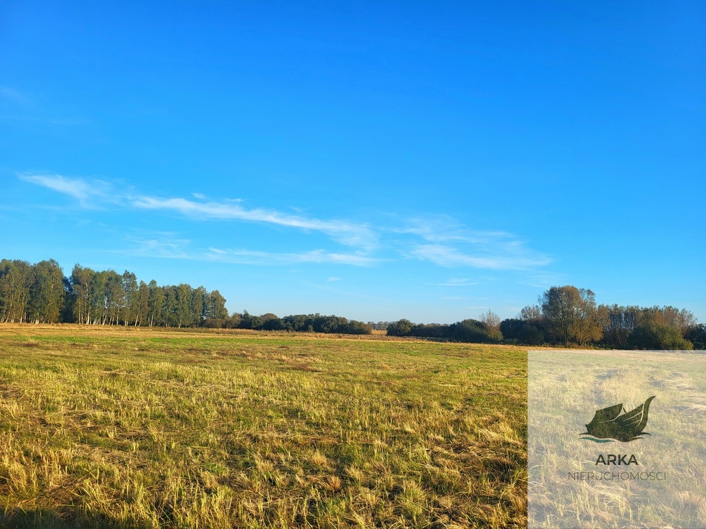 Lubczyna / działka siedlkiskowa (4)