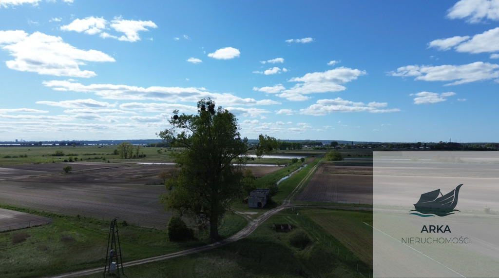 Lubczyna / działka siedlkiskowa (2)