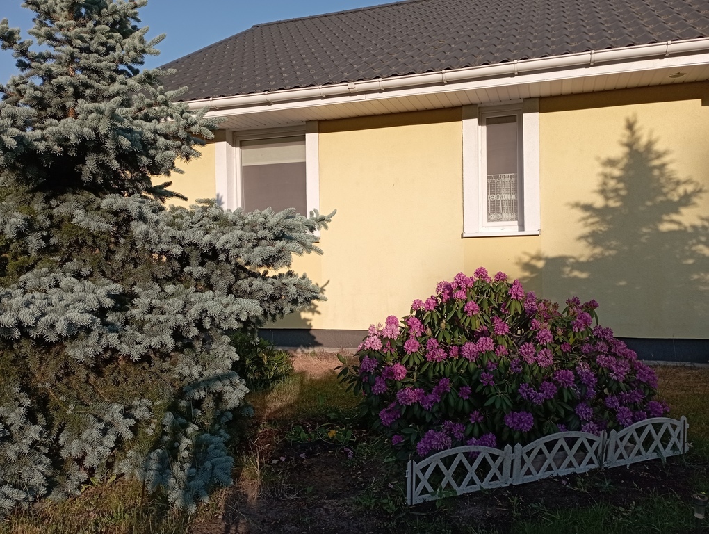 Energooszczędny parterowy dom w Sownie (2)