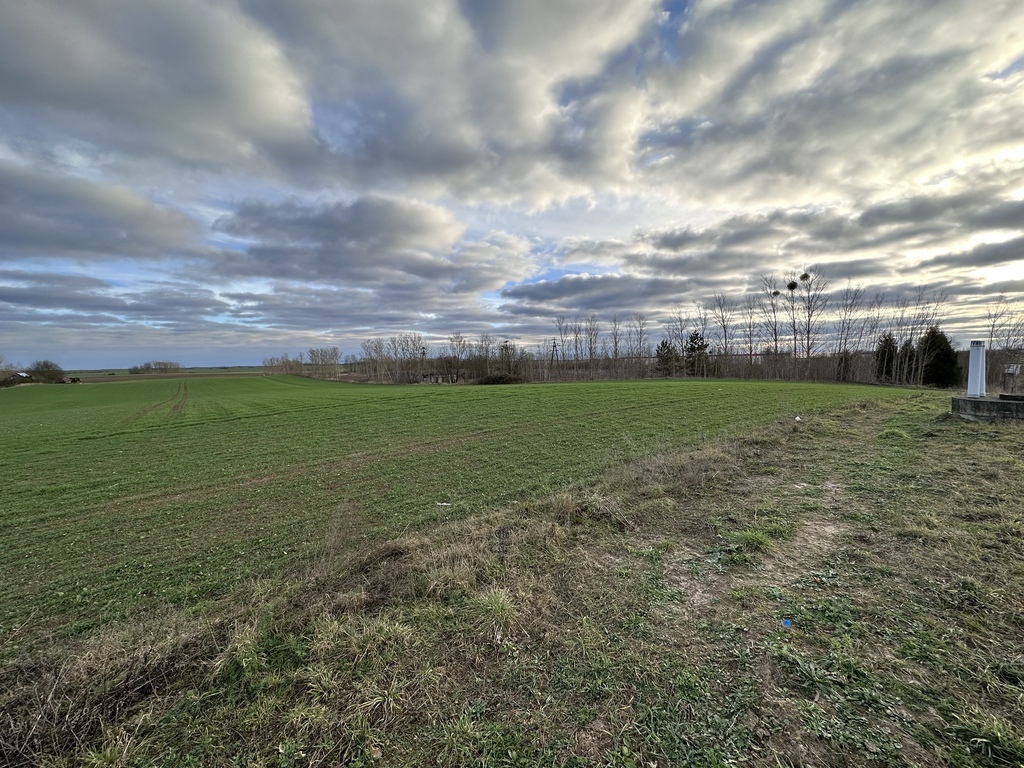 4,49 ha Kołbaskowo pod usługi, magazyny, składy (2)