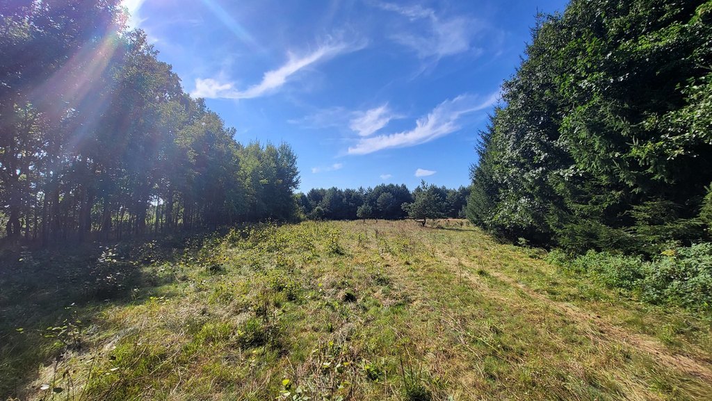 Działka z linią brzegową rzeki, lasem i stawem. (8)