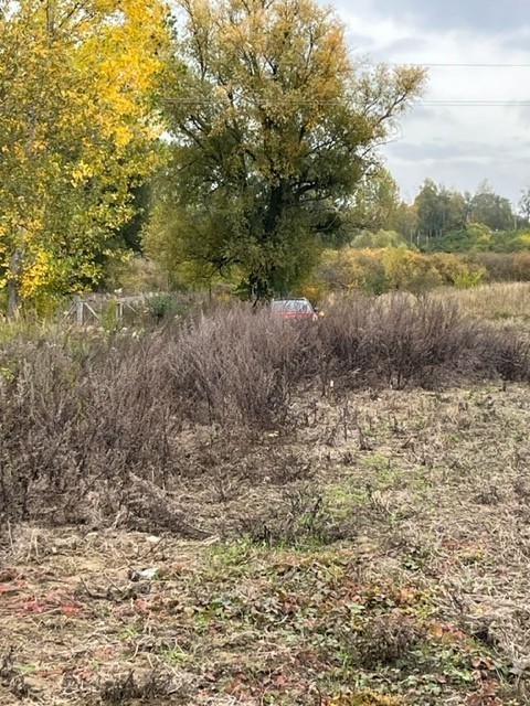 Budowlana, 775 m2, Kołbaskowo  (3)