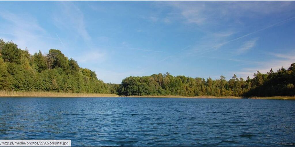 Dz.1.2334ha,Żelisławie,gmCzaplinek,J.Kaleńskie,las (2)