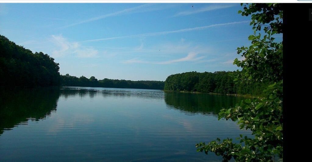 Dz.1.5786ha,Żelisławie,gmCzaplinek,J.Kaleńskie,las (1)