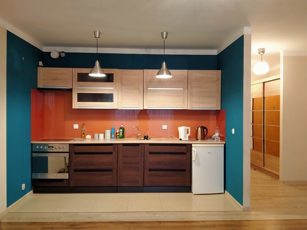 Przestronna kawalerka z balkonem i panoramą miasta (6)