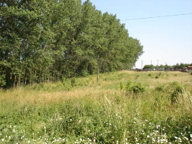 Działka 5266m2,Szczecin, Bukowo. (2)