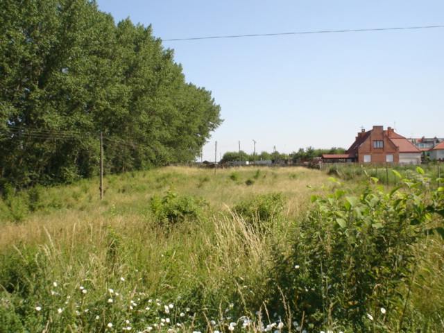 Działka 5266m2,Szczecin, Bukowo. (6)