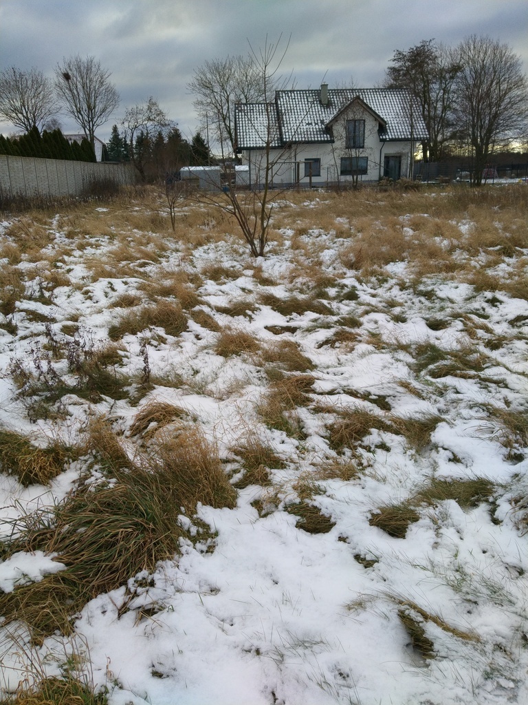 Działka 2240 m2,Kliniska Wielkie, gm. Goleniów (3)