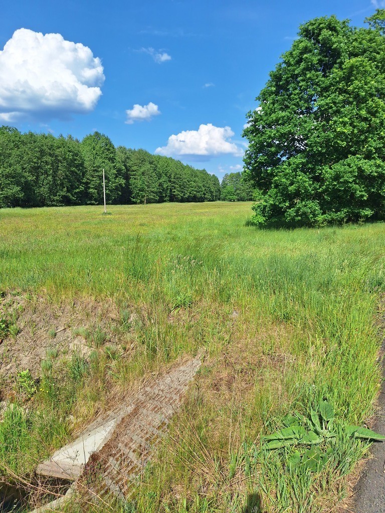 Działka Tanowo,plan-usługi,3233m2,łączna-1.74 ha. (1)