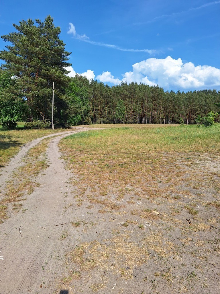 Działka Tanowo,plan-usługi,3233m2,łączna-1.74 ha. (10)