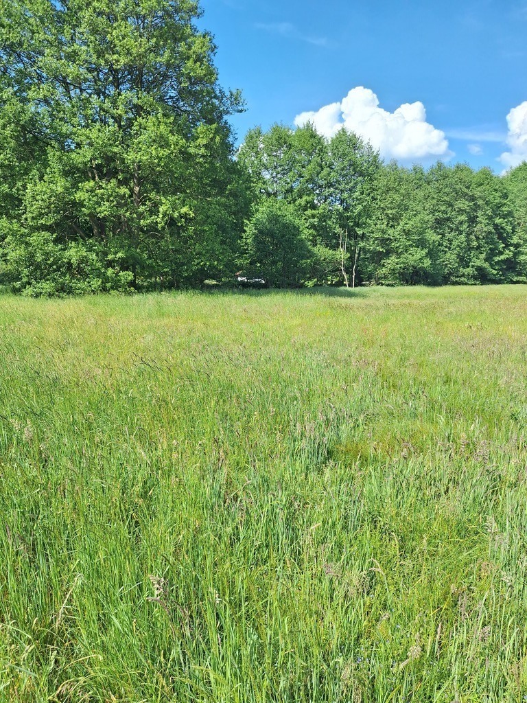 Działka,Tanowo,gm.Police,3166m2,plan-usługi. (5)