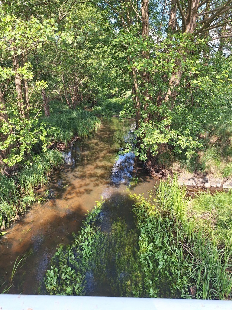 Działka,Tanowo,0.3143ha,plan-rolna. (7)