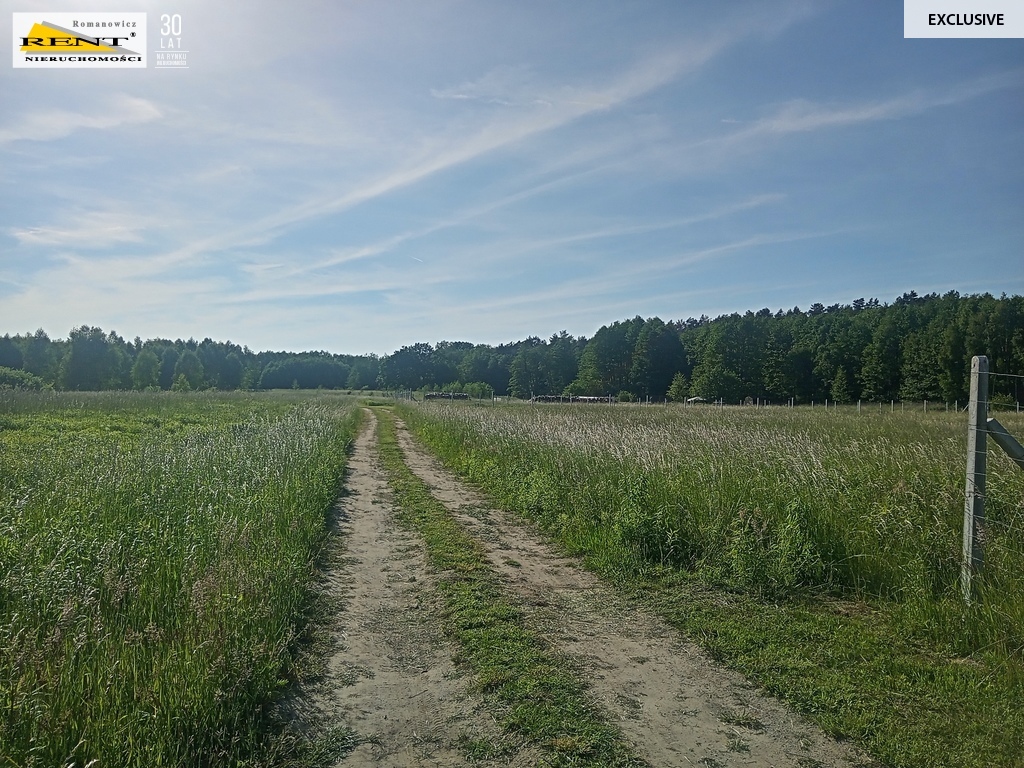 Działka w Chociwlu (5)