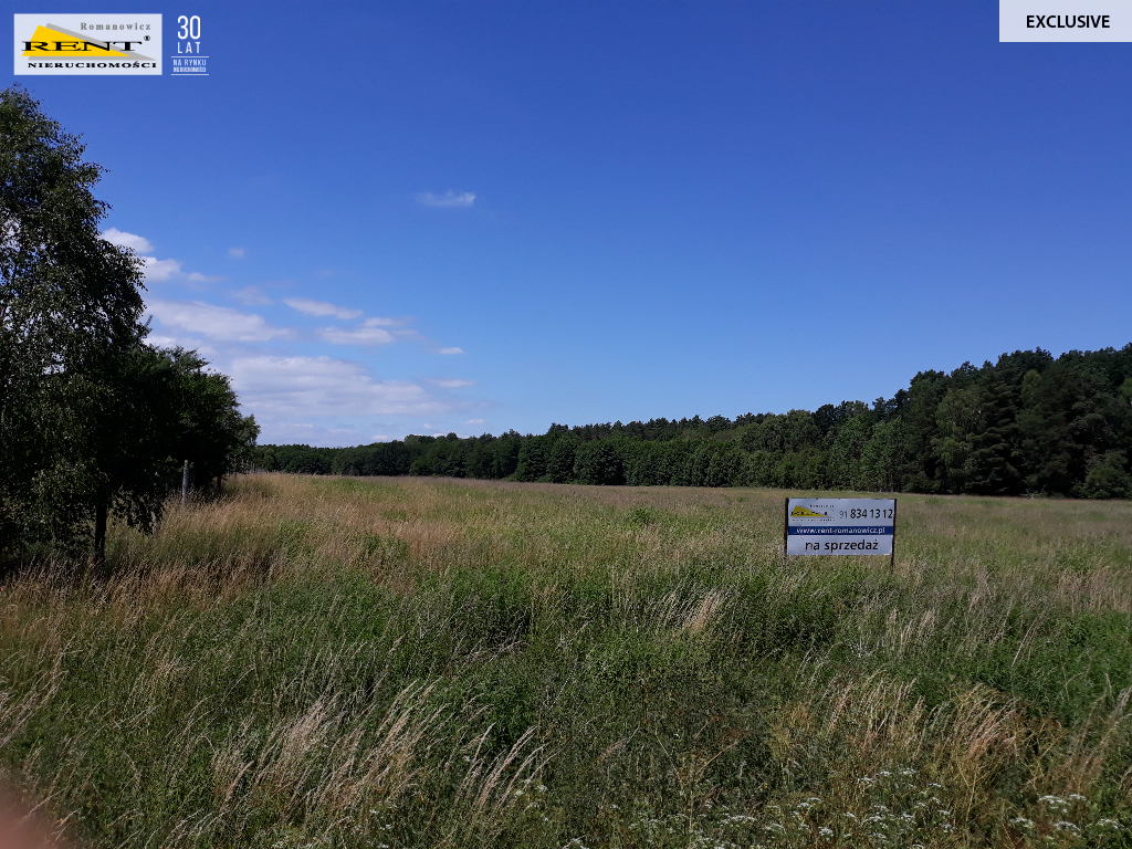 Działka w Chociwlu (6)