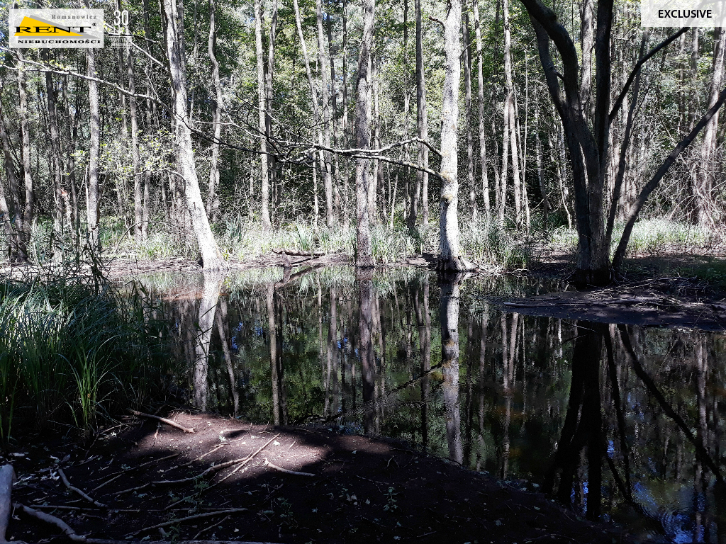 Działka w Chociwlu (7)