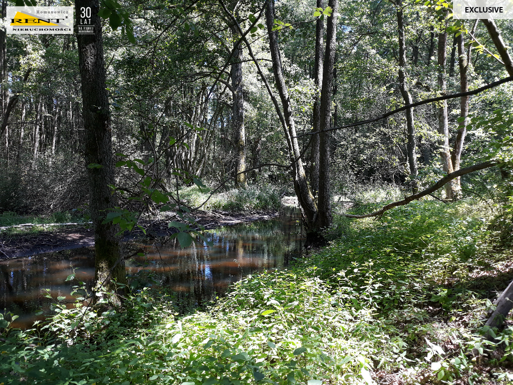 Działka w Chociwlu (8)