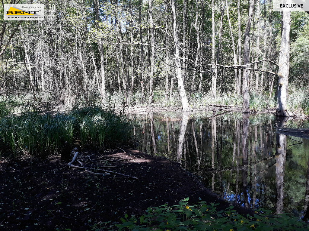 Działka w Chociwlu (9)