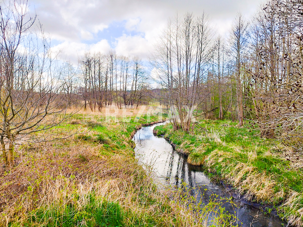 Działka o powierzchni 5524 m2- 12km od Kołobrzegu (5)