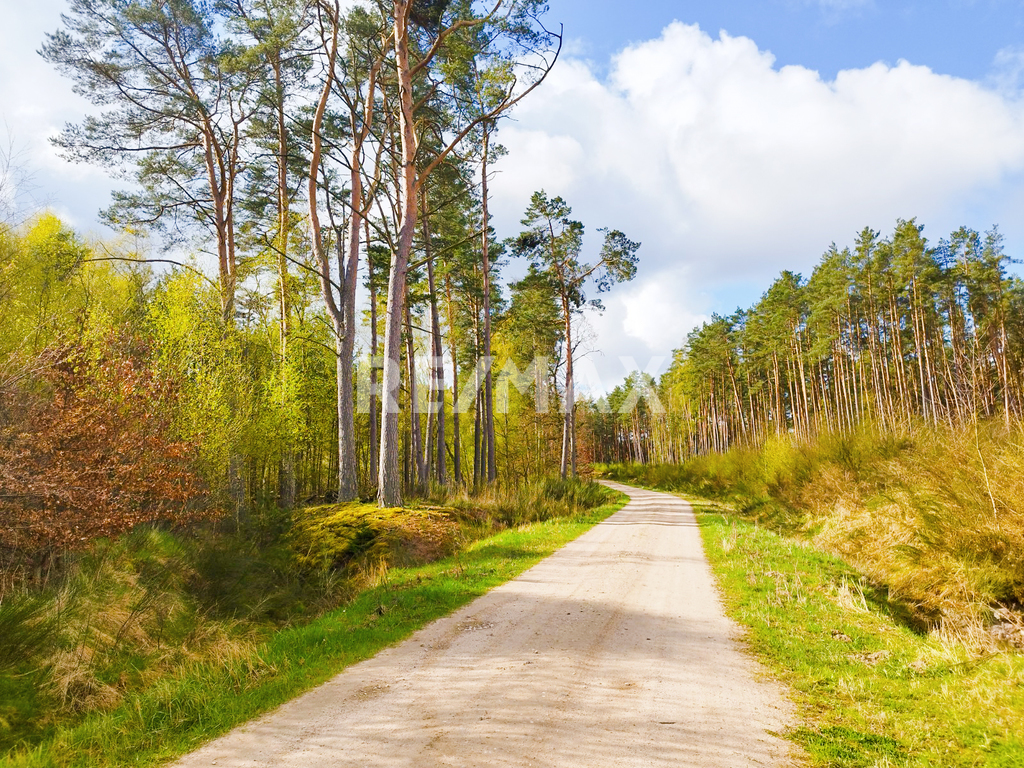 Działka o powierzchni 5524 m2- 12km od Kołobrzegu (1)