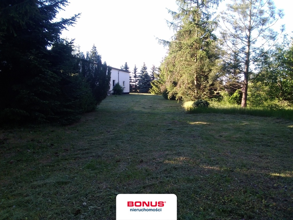 Obiekt komercyjny, działka 2ha + hala! (9)