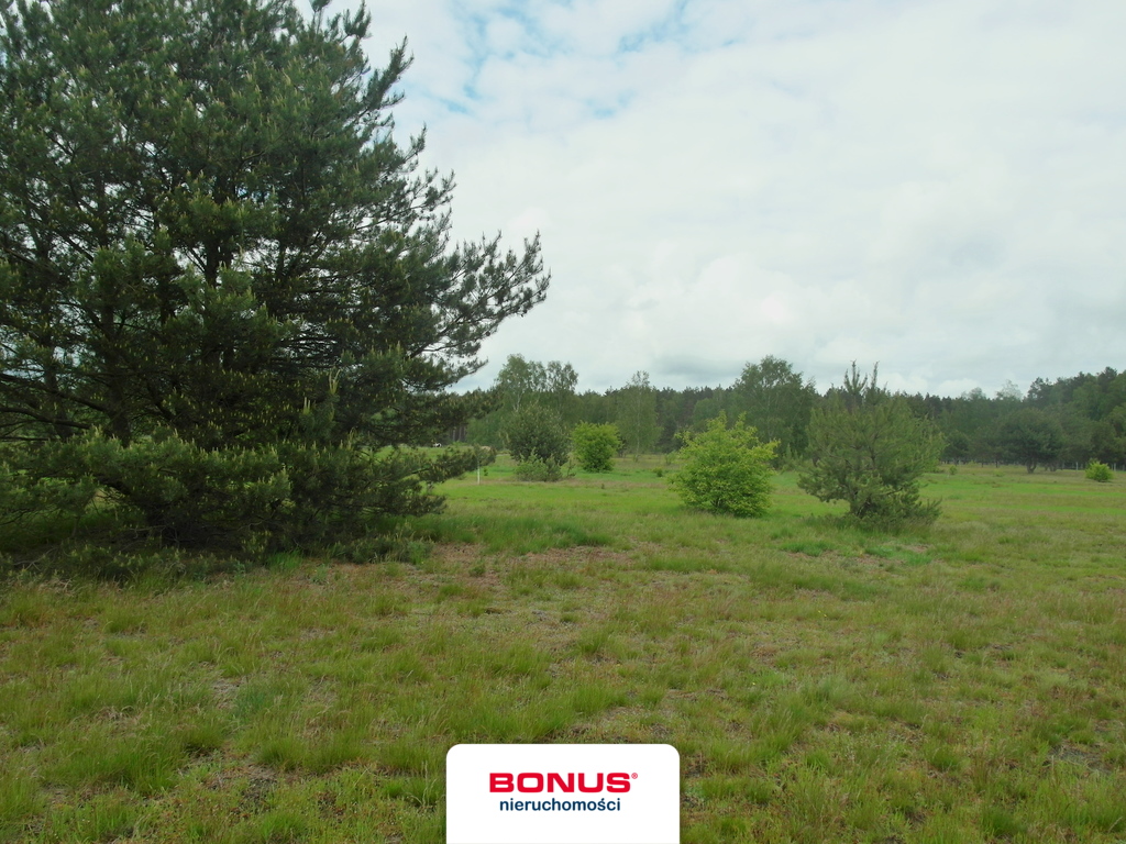 Rolna, 45,229 m2, Reptowo  (2)