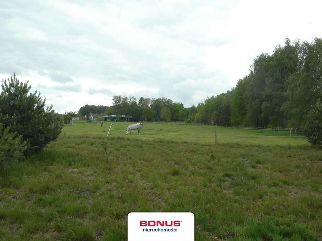 Rolna, 45,229 m2, Reptowo  (3)