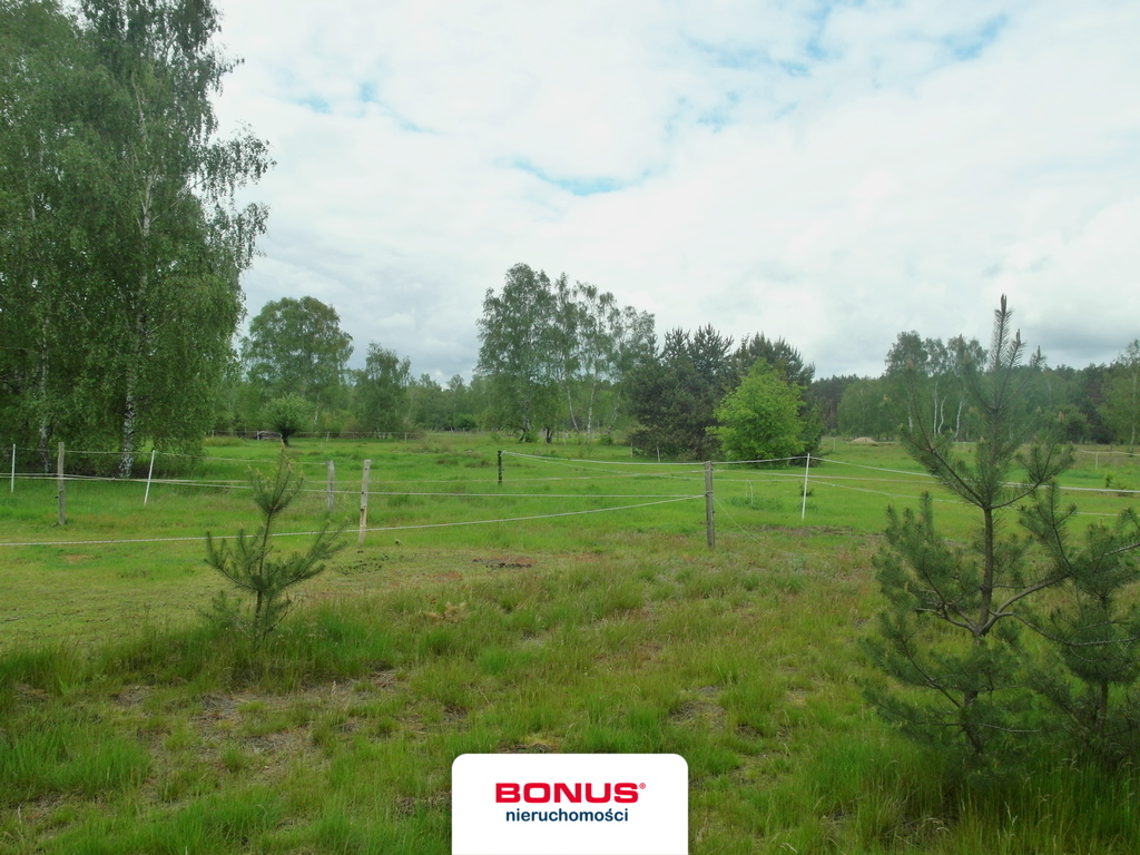 Rolna, 45,229 m2, Reptowo  (4)