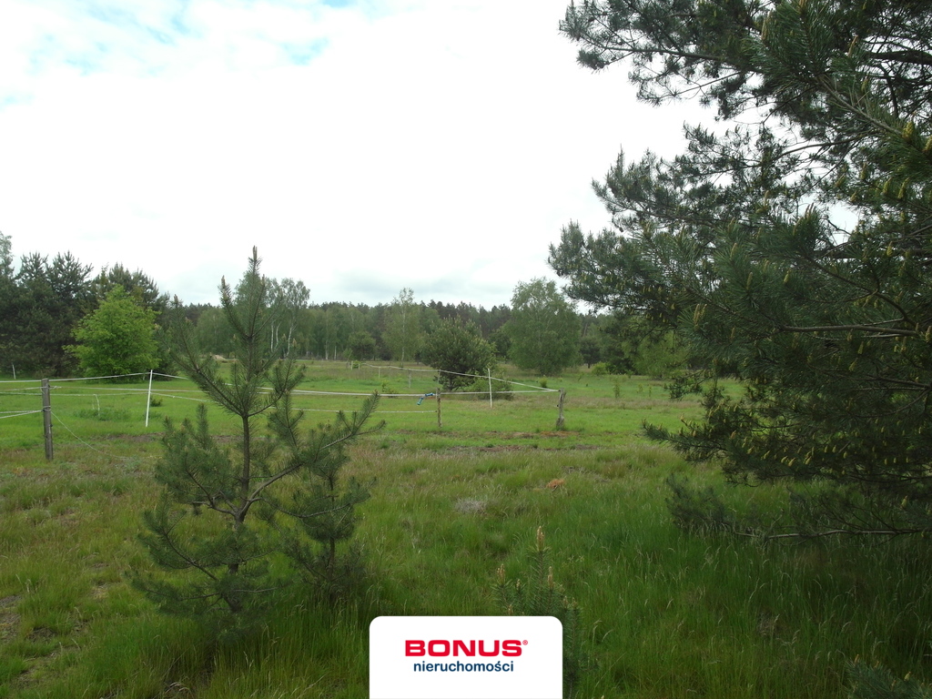 Rolna, 45,229 m2, Reptowo  (5)