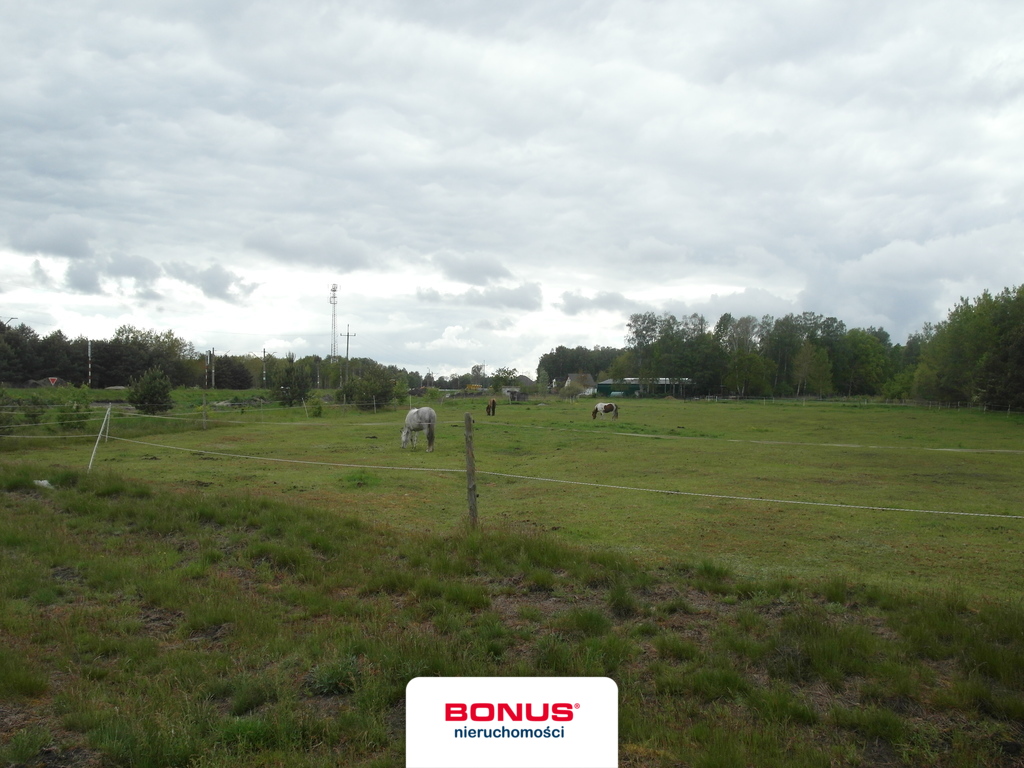 Rolna, 45,229 m2, Reptowo  (6)