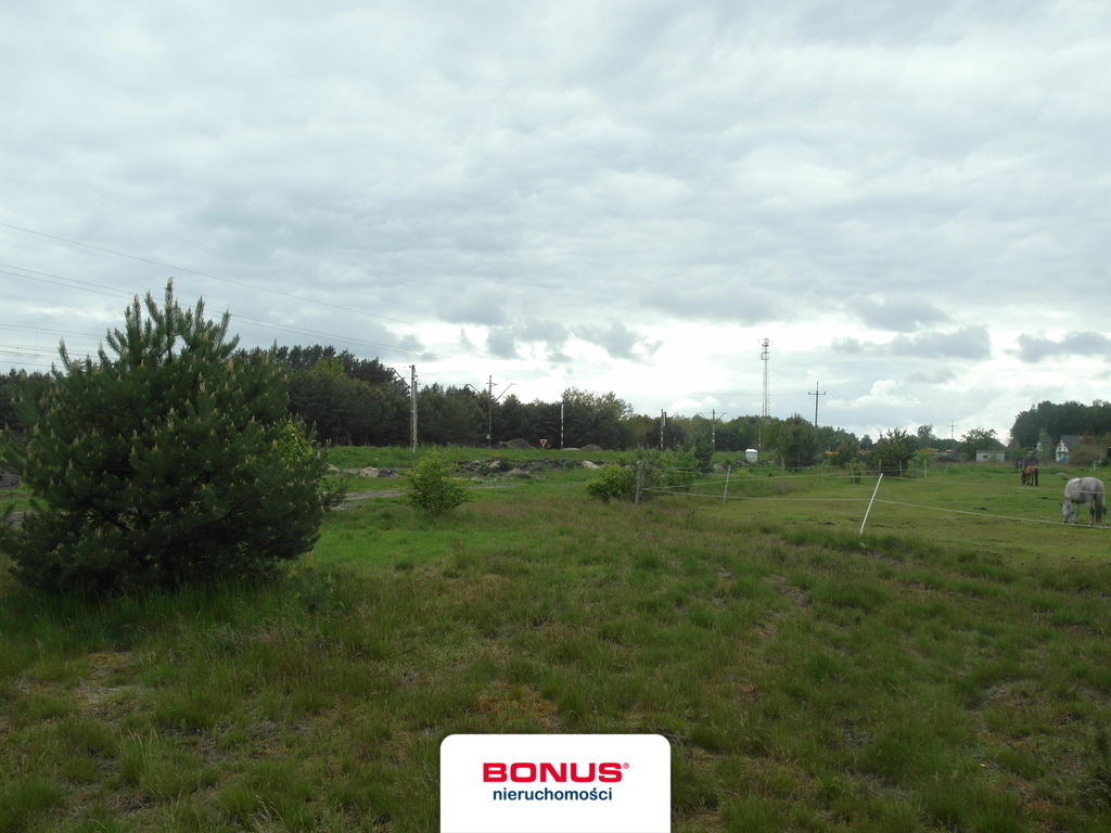 Rolna, 45,229 m2, Reptowo  (7)