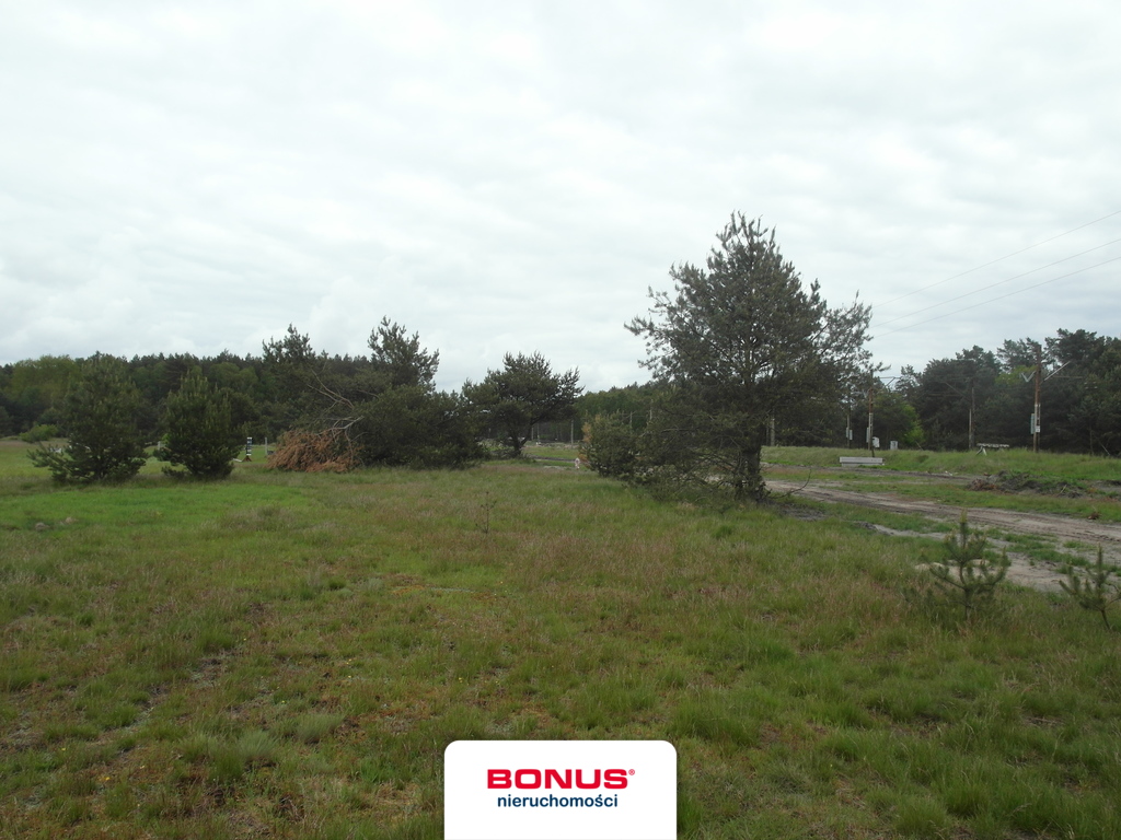 Rolna, 45,229 m2, Reptowo  (8)