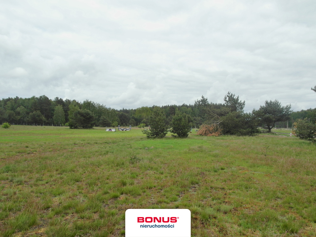 Rolna, 45,229 m2, Reptowo  (9)